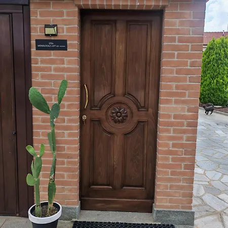 Stea Monolocale Loft In